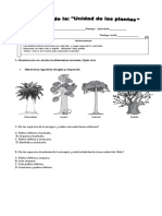 pruebacienciaslasplantas-160908153909.pdf
