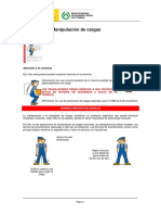 carga manual_cargas.pdf