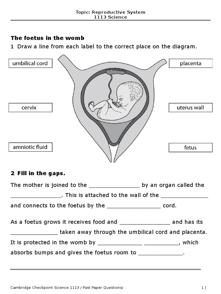 Reproduction Worksheet 1113 Checkpoint Science | PDF