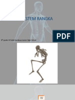 Sistem Rangka