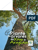 Plante Arvores Xingu Araguaia-guia-IsA