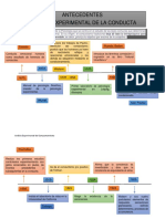 Línea de Tiempo Analisis Experimental