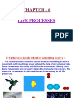 Chapter - 6: Life Processes