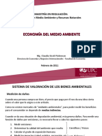 ECONOMIA DEL MEDIO AMBIENTE