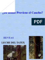 Cacho y Ensayos