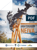Caracterización-Tejido-Empresarial-Neiva.pdf