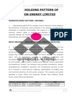 Share Holding Pattern - Suzlon