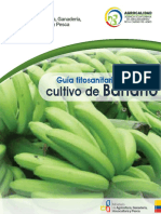 guia-de-campo-banano.pdf