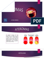 Ateroma 151125005026 Lva1 App6892