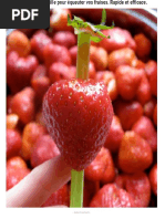 Utilisez Une Paille Pour Équeuter Vos Fraises. Rapide Et Efficace.