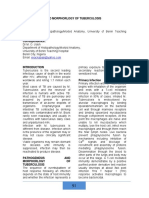 Pathogenesis and Morphorlogy of Tuberculosis M. O. Udoh