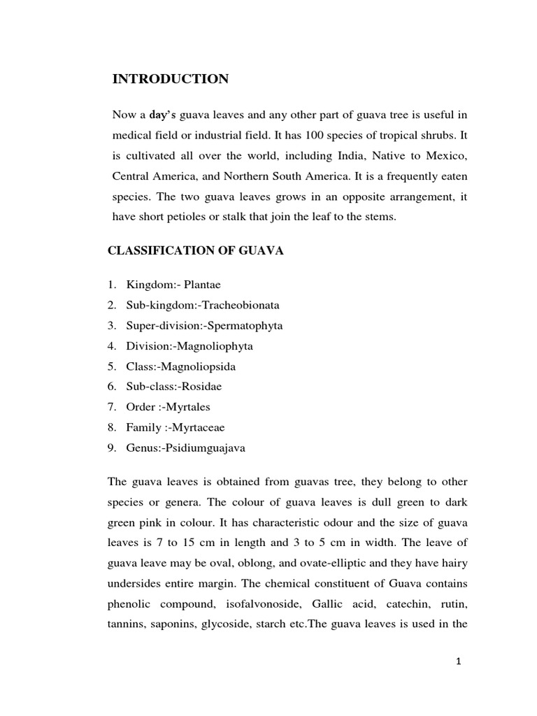 Project Guava Leaves Pdf Solubility Leaf