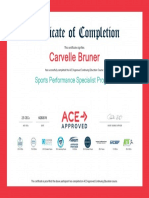 ACE Sports Performance Specialist Cert