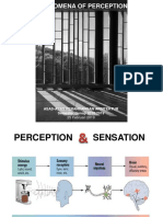 PHENOMENA OF PERCEPTION AND ARCHITECTURAL EXPERIENCE