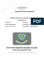 Bachelor of Science in Computer Science (2015-2019) : Govt - Post Graduate Islamia College