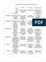 Salud - Esquema - Concepciones de Salud Moragas