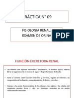 Práctica #09 Examen de Orina