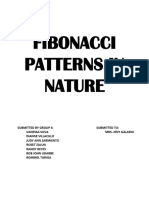 Fibonacci Patterns in Nature