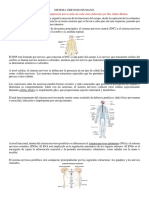 Apoyo Teorico de Las Clases Del Segundo Parcial Sistemas Nervioso, Circulatorio y Respiratorio