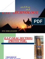 CH R (5) ESP (Protector)