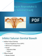 Infeksi Organ Reproduksi 1.pptx