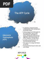 Understanding the ATP-PC System | PDF | Adenosine Diphosphate ...