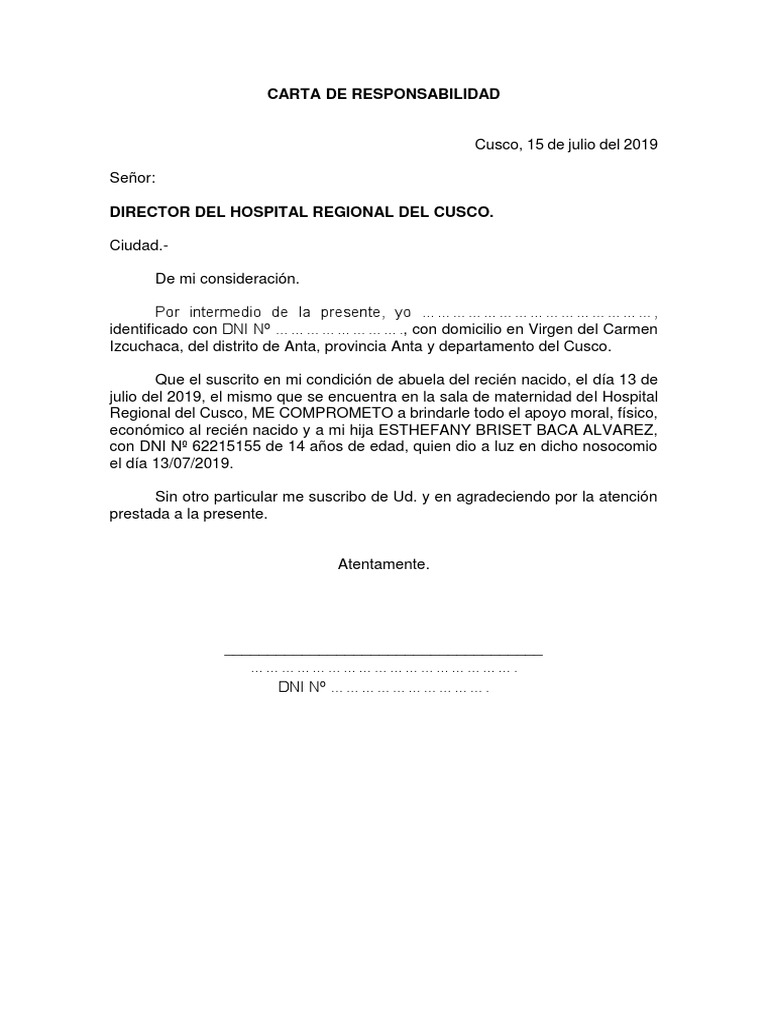 Carta De Responsabilidad Pdf