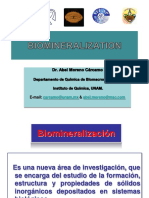 Biomineralizacion PDF