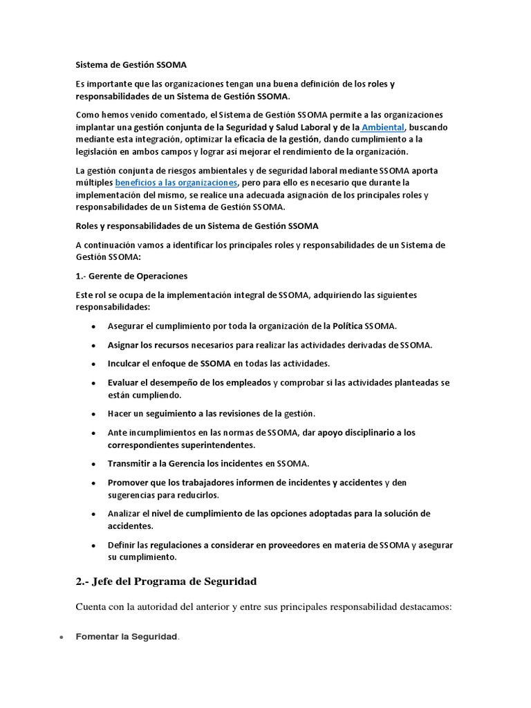 Roles en el Sistema de Gestión SSOMA | PDF | Seguridad y salud ...