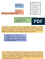 Examen 6 Segundo Periodo