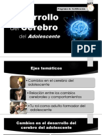 Cerebro de Desarrollo