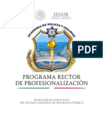 Programa Rector de Profesionalizacion