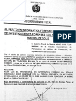 Informe Pericial de Chambonera