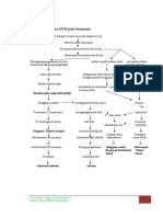 Penyimpangan KDM pada Pneumonia.doc