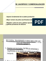 Tema4.pdf