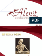 Curso de Anatomía: Sistema Óseo y Tipos de Huesos