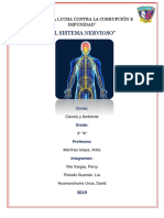 El Sistema Nervioso Informacion