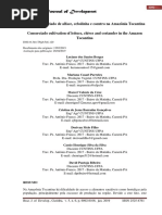 Cultivo Consorciado de Alface, Cebolinha e Coentro Na Amazônia Tocantina