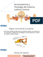 Neuroanatomía y Neurofisiología Del Sistema Auditivo Central