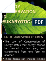Energy Conservation IN Eukaryotic Cell