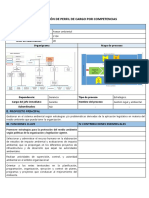 Descripcion de Perfiles de Cargos Por Competencias