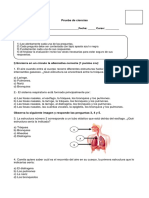 Prueba de Ciencias Del Sistema Circulatorio, Respiratorio y Nutrientes