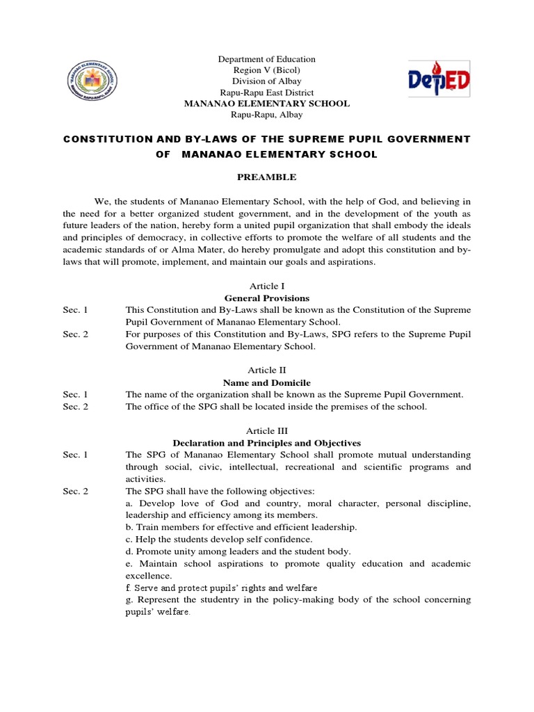 Constitution and by Laws-Spg | PDF | Constitutional Amendment | Committee