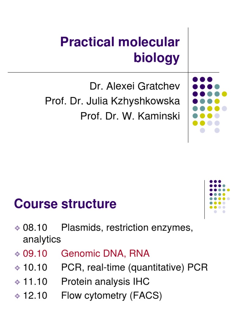 Practical Molecular Biology Part II | PDF | Rna | Messenger Rna