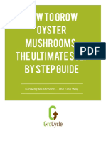How To Grow Oyster Mushrooms The Ultimate Step by Step Guide Ebook