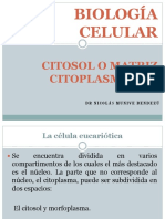 Citosol y Citoplasma