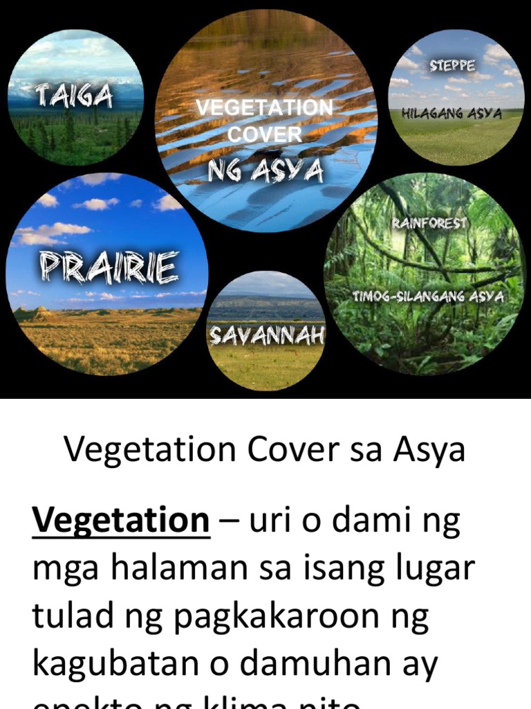 Vegetation Cover Sa Asya PDF