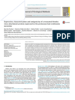 Expression Characterisation and Antigenicity of A Truncated Hendra Virus Attachment Protein Expressed in The Protozoan Host Leishmania Tarentolae