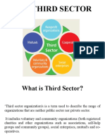 The Third Sector