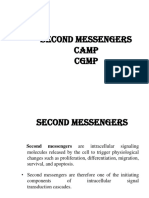 Second Messenger Signaling Systems